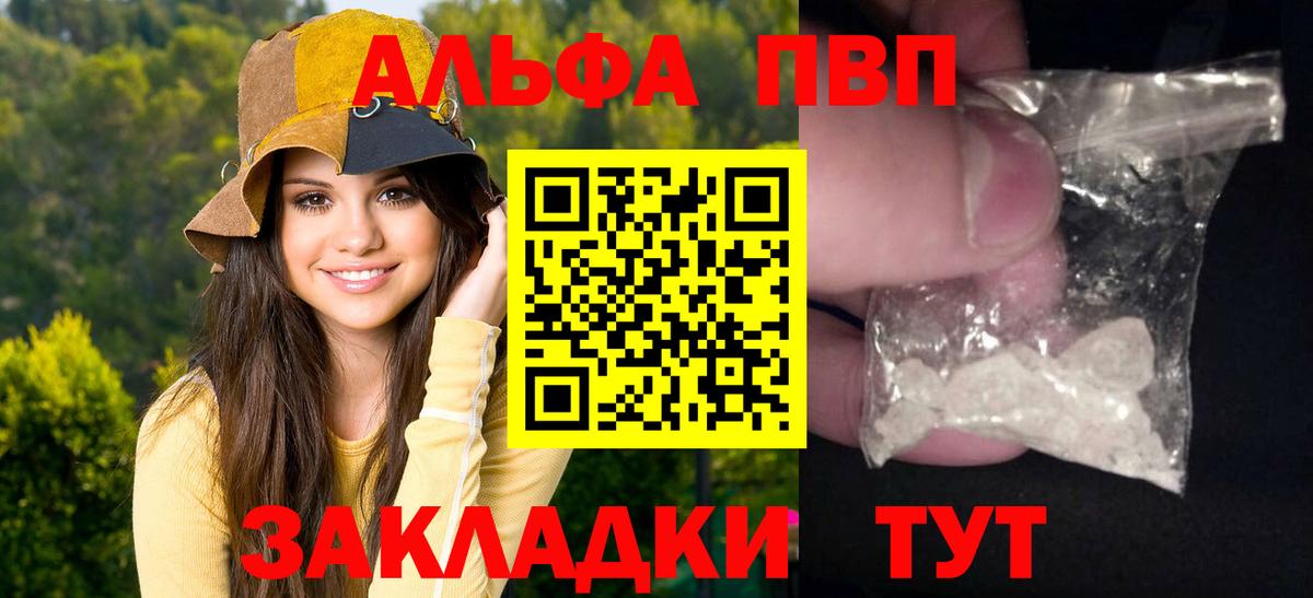 Альфа ПВП СК Нижний Новгород