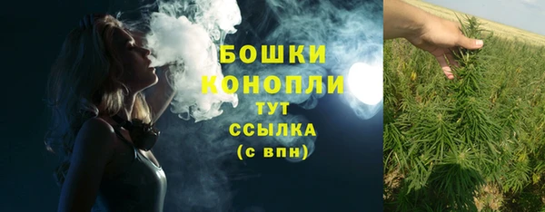 дмт Магас