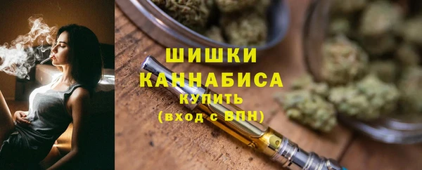 дмт Магас