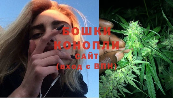 Альфа ПВП Майский