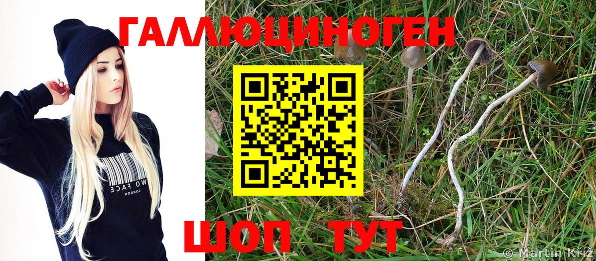 Галлюциногенные грибы прущие грибы Нижний Новгород