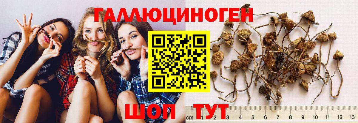Галлюциногенные грибы мицелий  сколько стоит  Нижний Новгород  Вход с VPN 