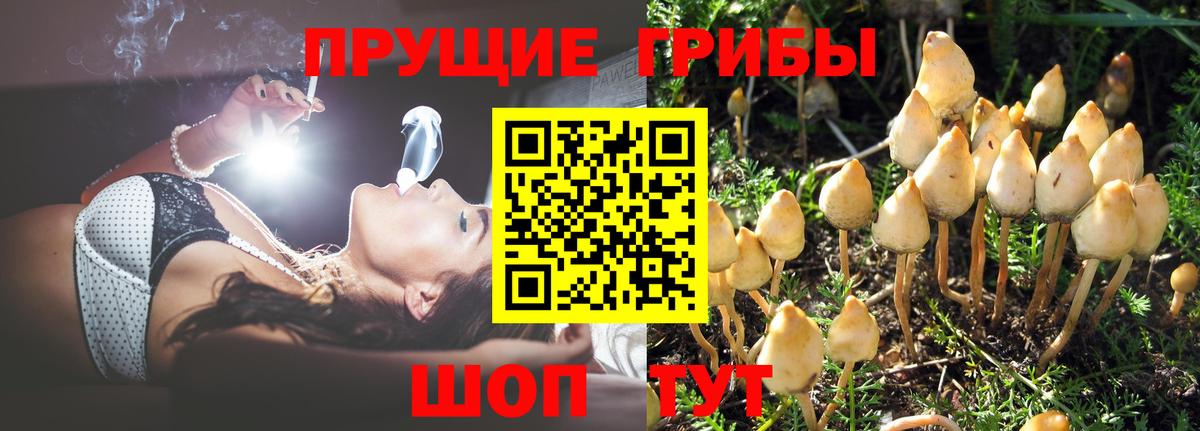 Псилоцибиновые грибы мухоморы  Нижний Новгород 