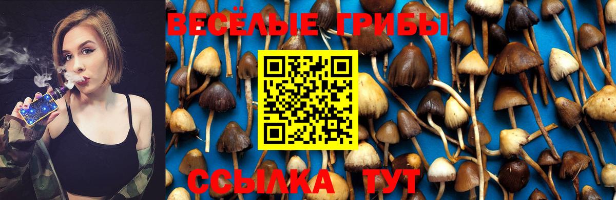 Псилоцибиновые грибы Magic Shrooms Нижний Новгород